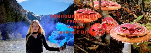 МДПВ Няндома