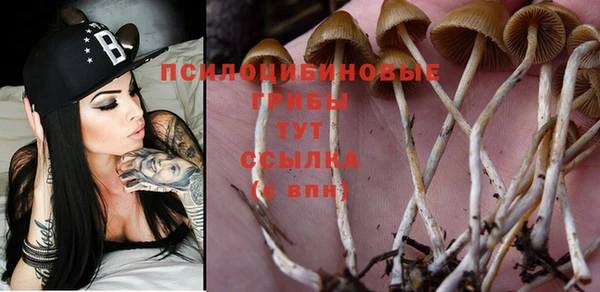 скорость Нягань