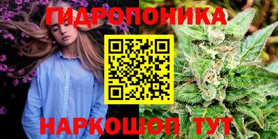 ECSTASY Заволжье