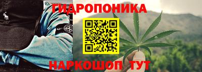 ECSTASY Заволжье
