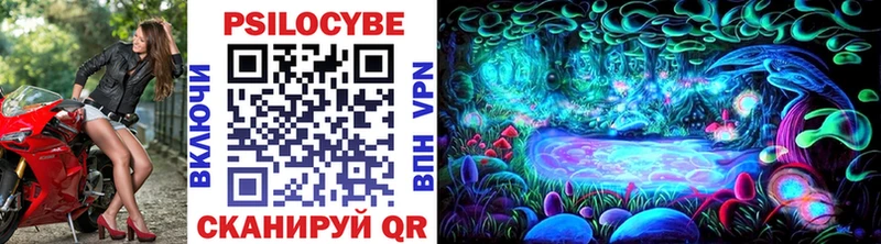 Псилоцибиновые грибы Psilocybine cubensis  где купить   Клинцы 