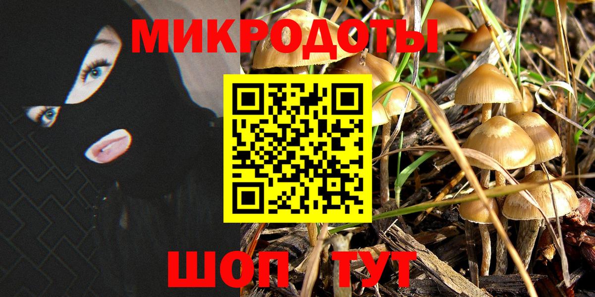 Клинцы  Галлюциногенные грибы мицелий  Вход с VPN  Псилоцибиновые грибы MAGIC MUSHROOMS 